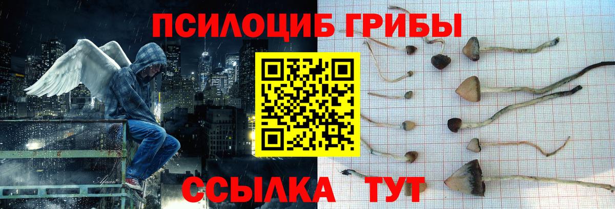 Галлюциногенные грибы прущие грибы  Галлюциногенные грибы MAGIC MUSHROOMS  Кировск  Вход с VPN 